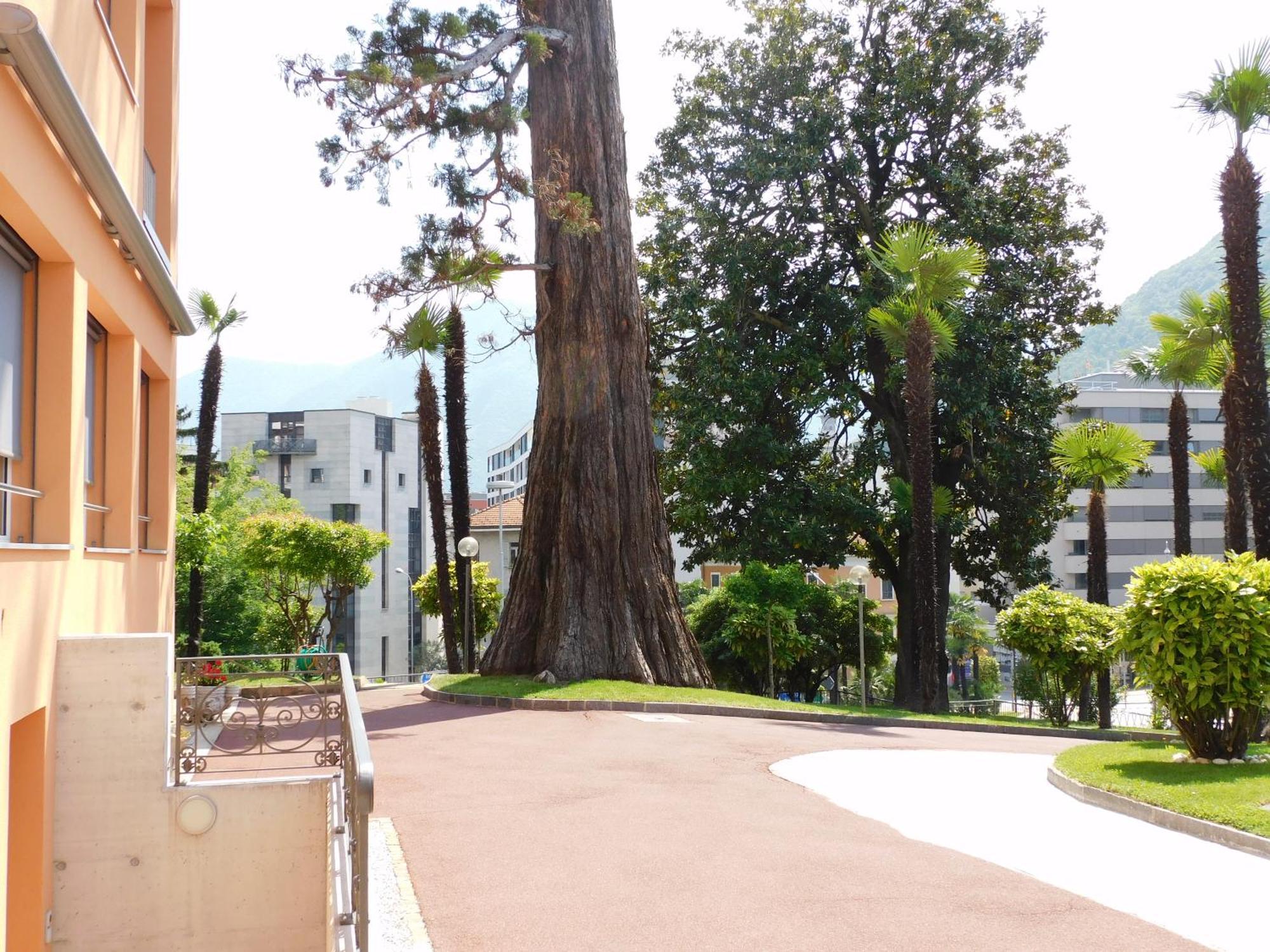 Casa Santa Birgitta Hotel Lugano Eksteriør billede